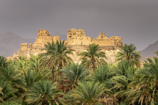 Oman City to Desert